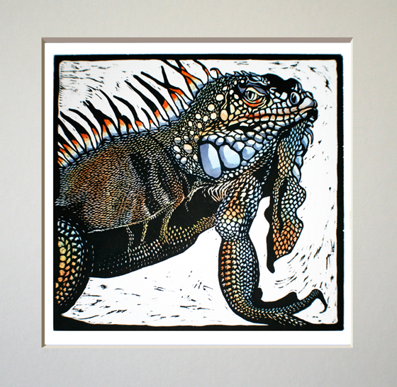 iguana print